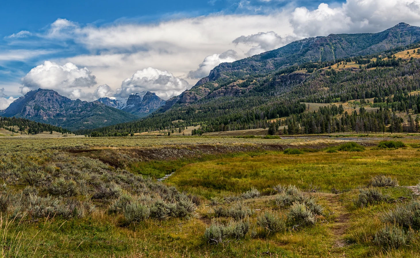 Lamar Valley, États-Unis