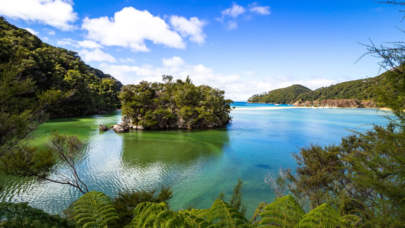 Parc national Abel Tasman, Nouvelle-Zélande