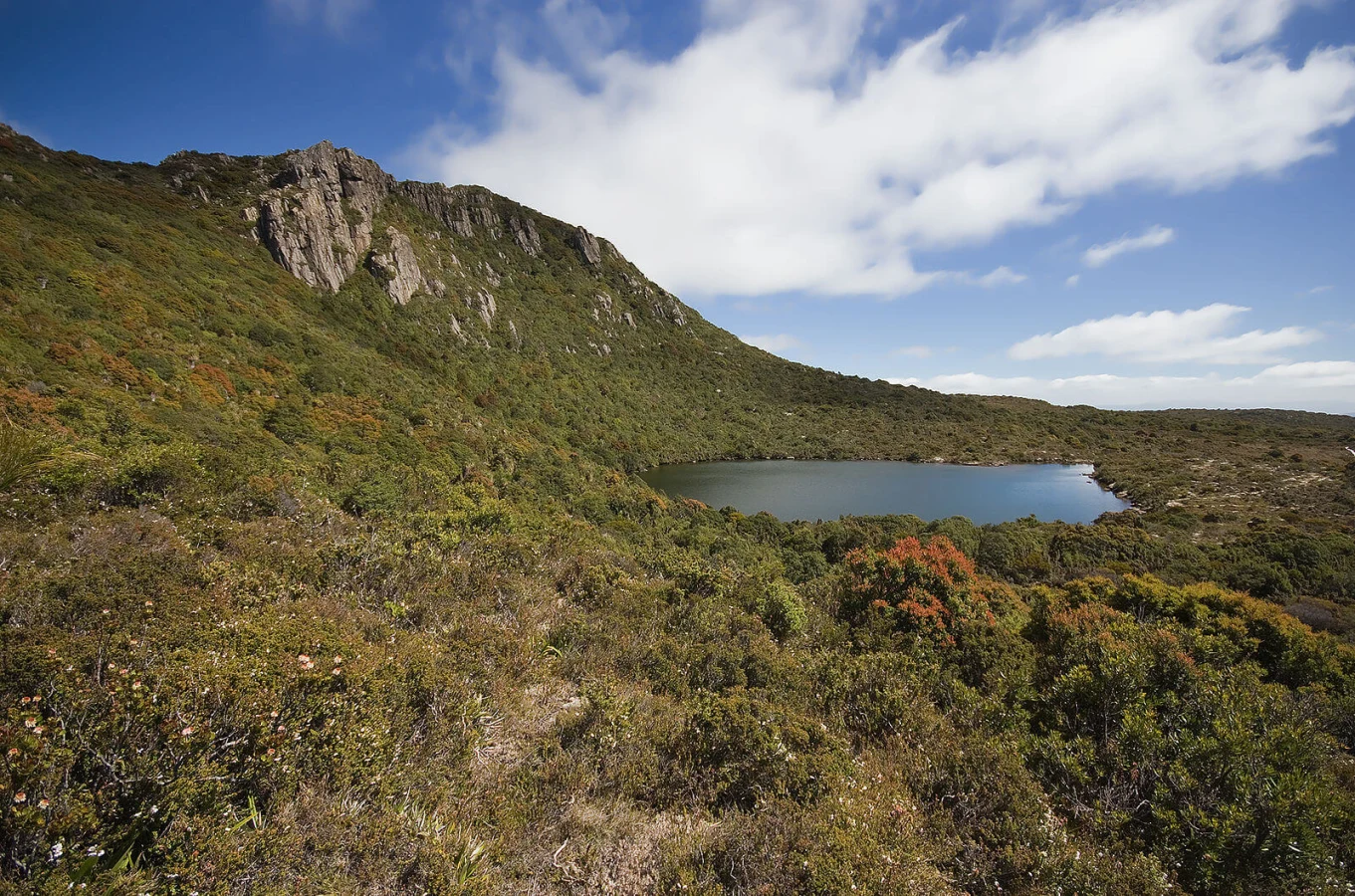 Parc national des Hartz Mountains, Australie, Tasmanie