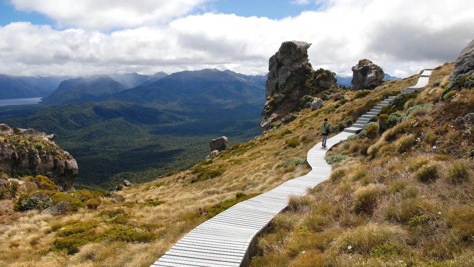 Hump Ridge Track, Nouvelle-Zélande