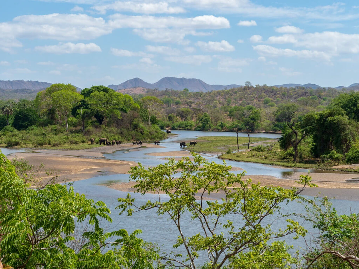 Réserve faunique de Majete, Malawi
