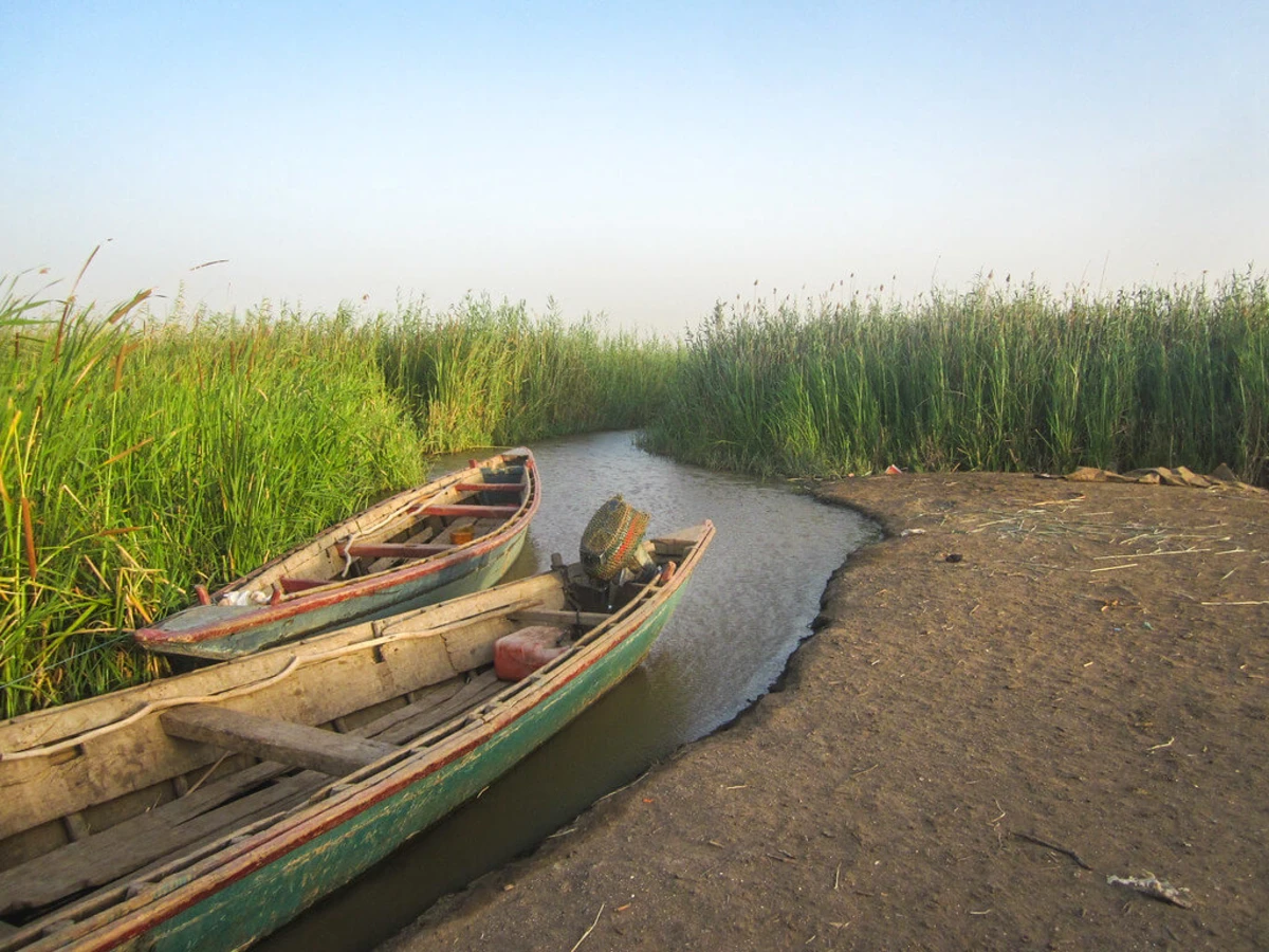 Parc national du Diawling, Mauritanie