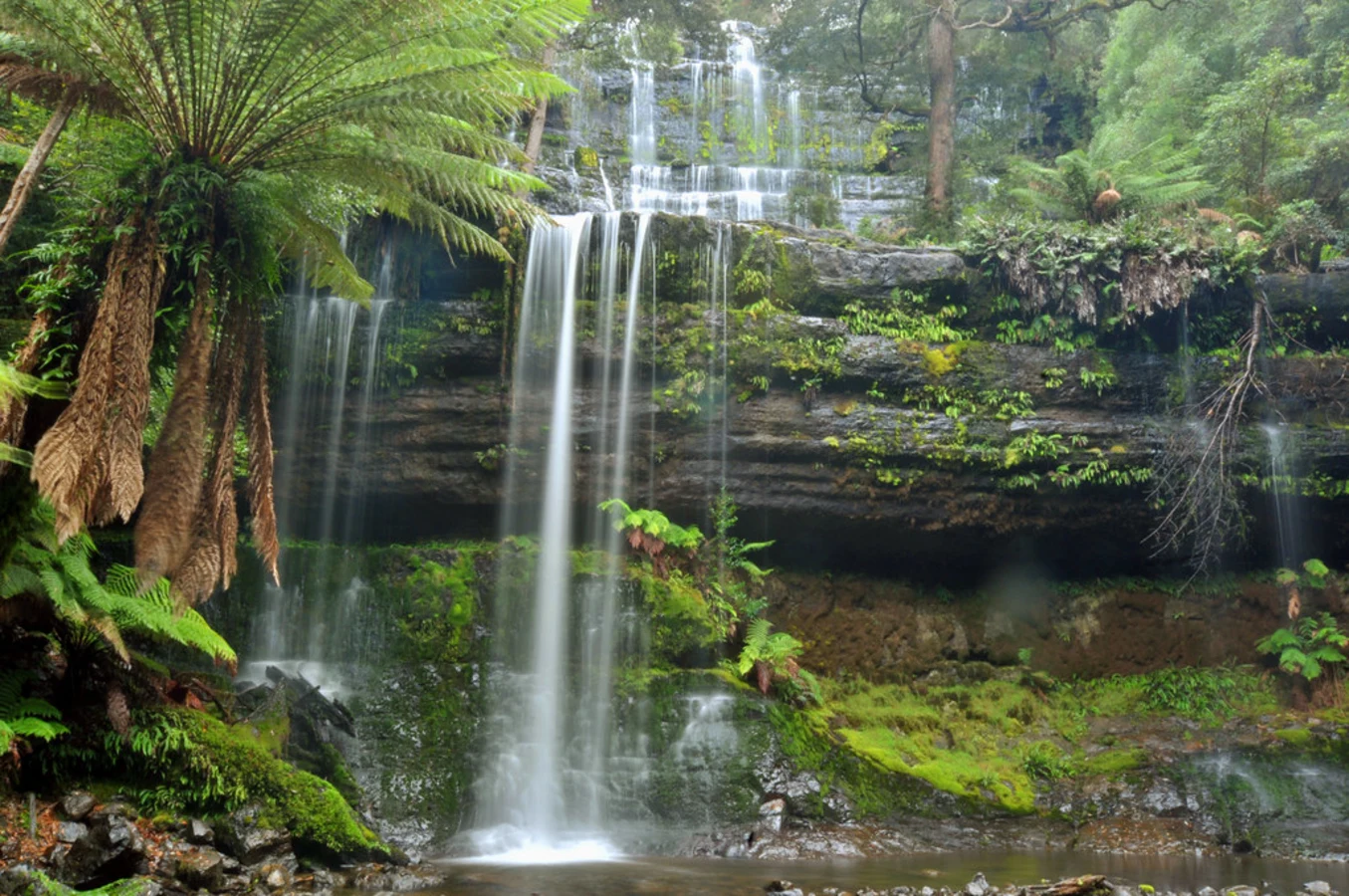 Brook Islands National Park, Australie
