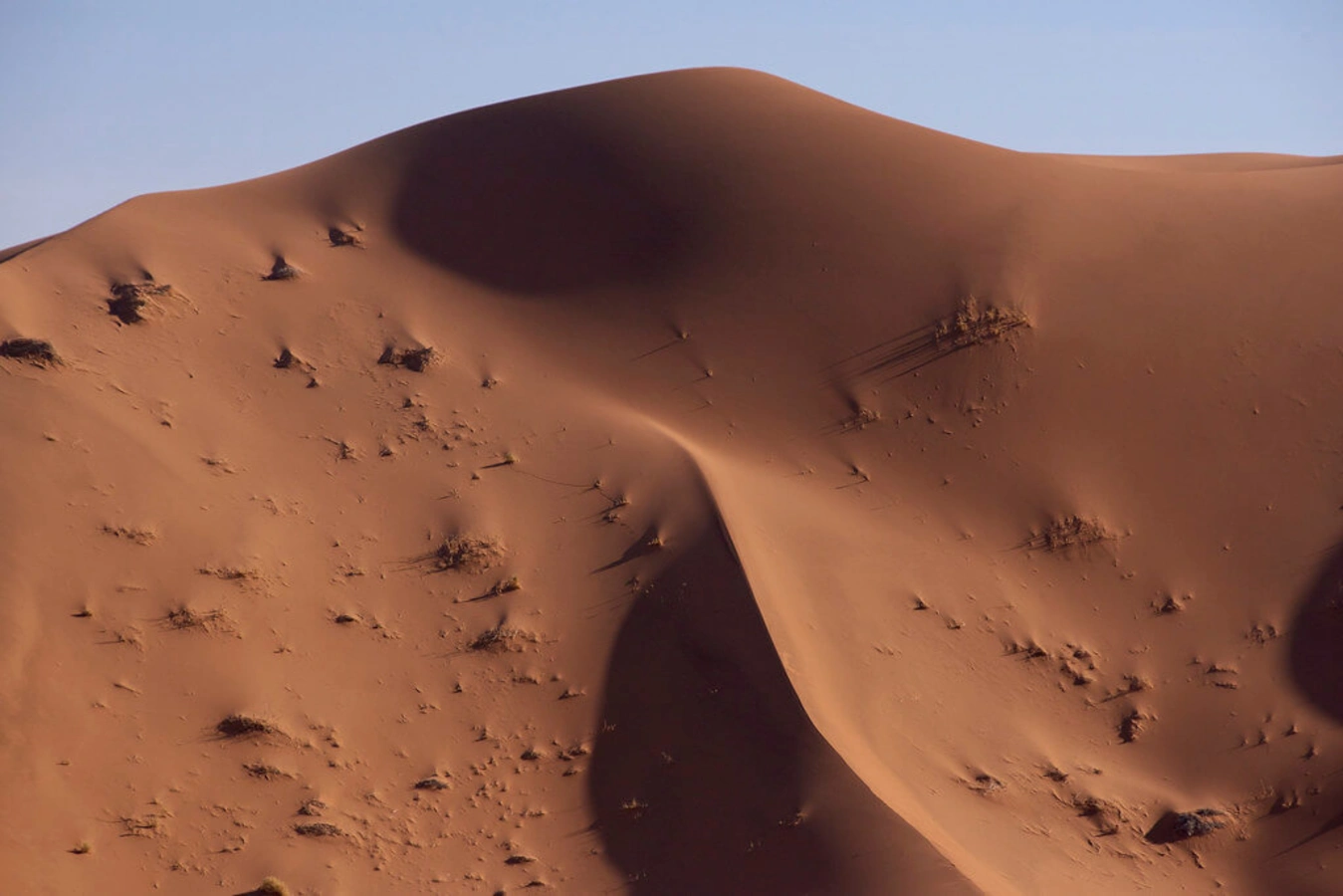 Big Daddy Dune, Namibie
