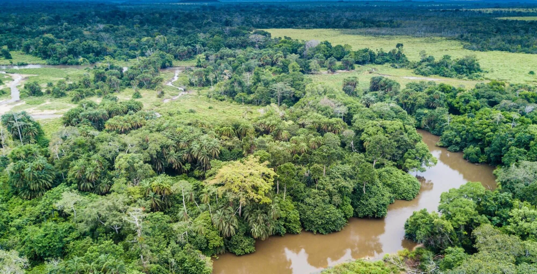 Parc national d'Odzala-Kokoua, République du Congo