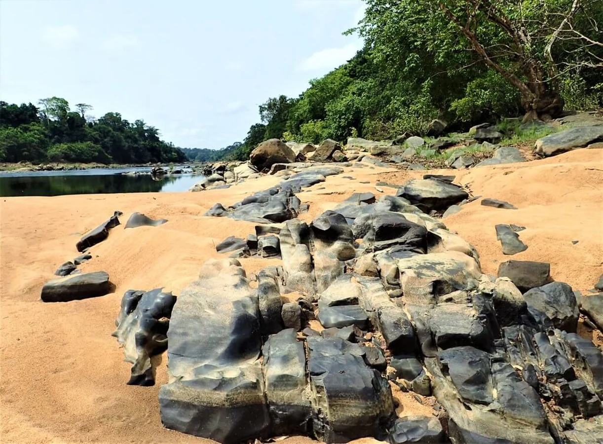 Île de Tiwai, Sierra Leone
