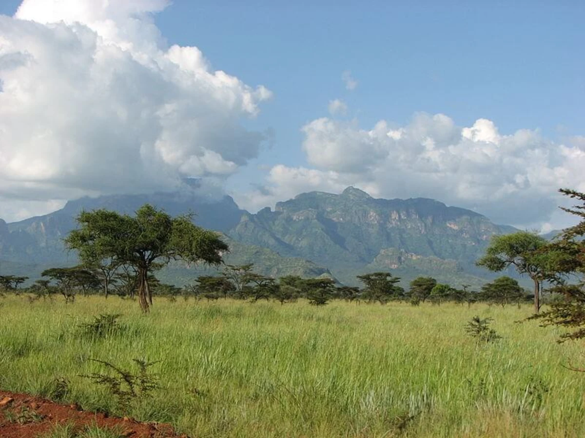Mont Kadam, Ouganda