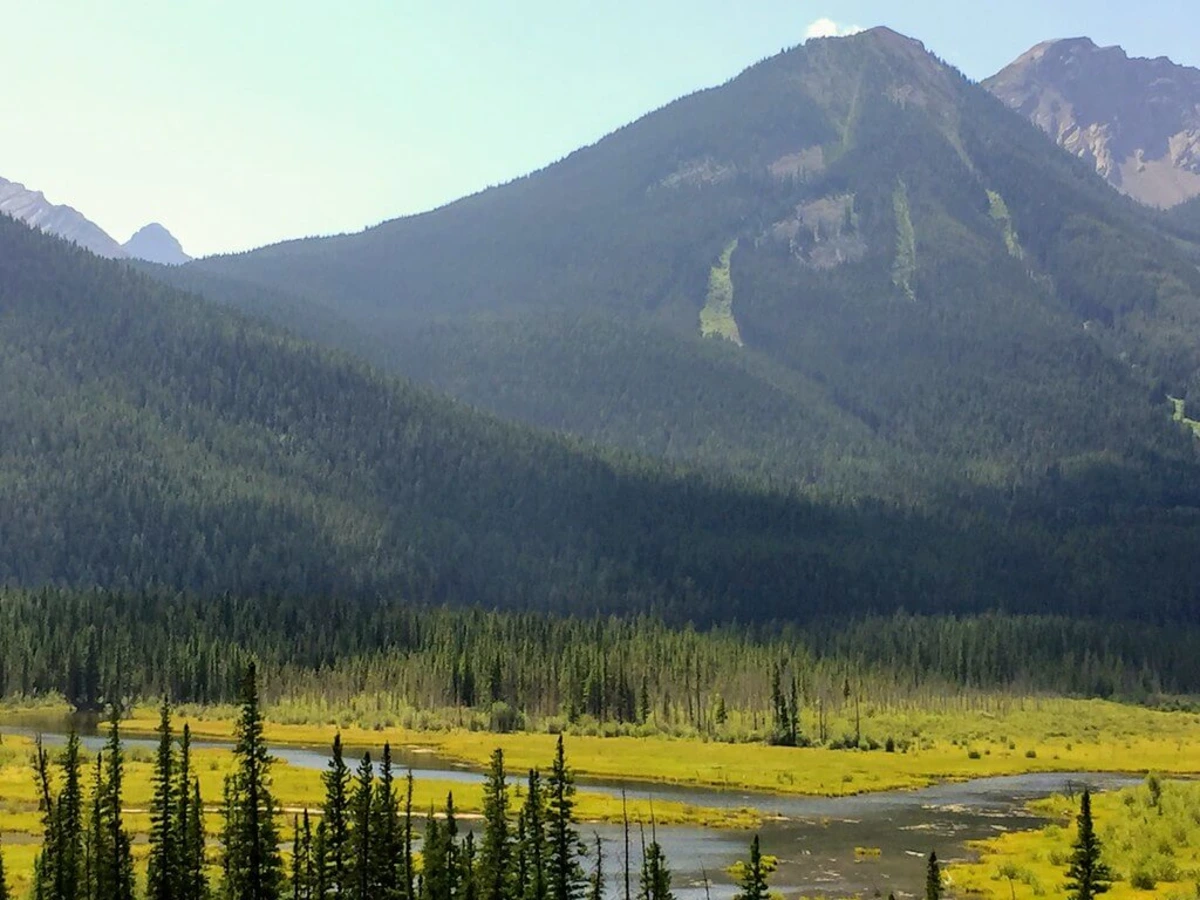 Parc provincial sauvage de Bow Valley, Canada