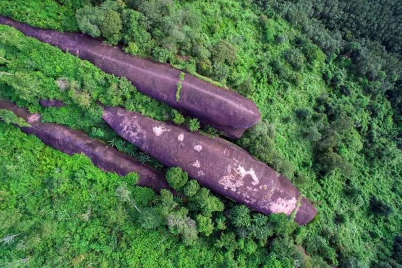 Three Whale Rock, Thaïlande