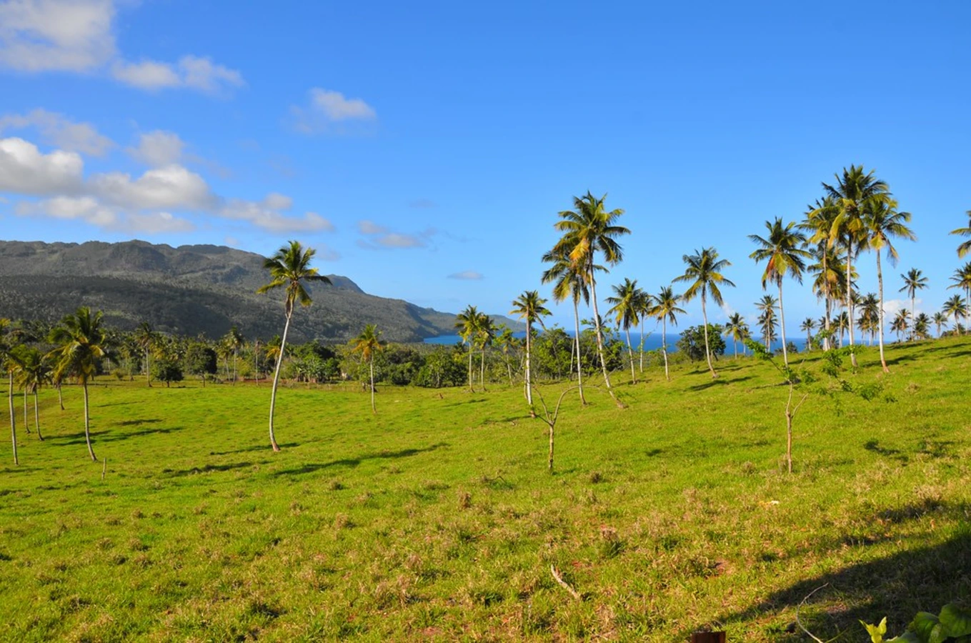 Playa Rincon, République dominicaine