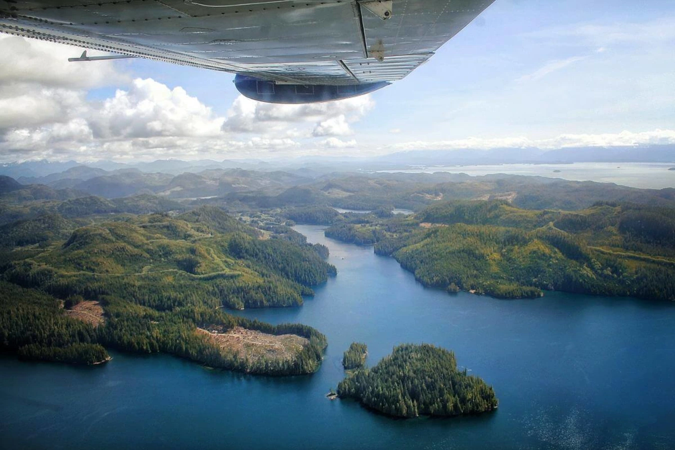 Forêt pluviale de Great Bear, Canada