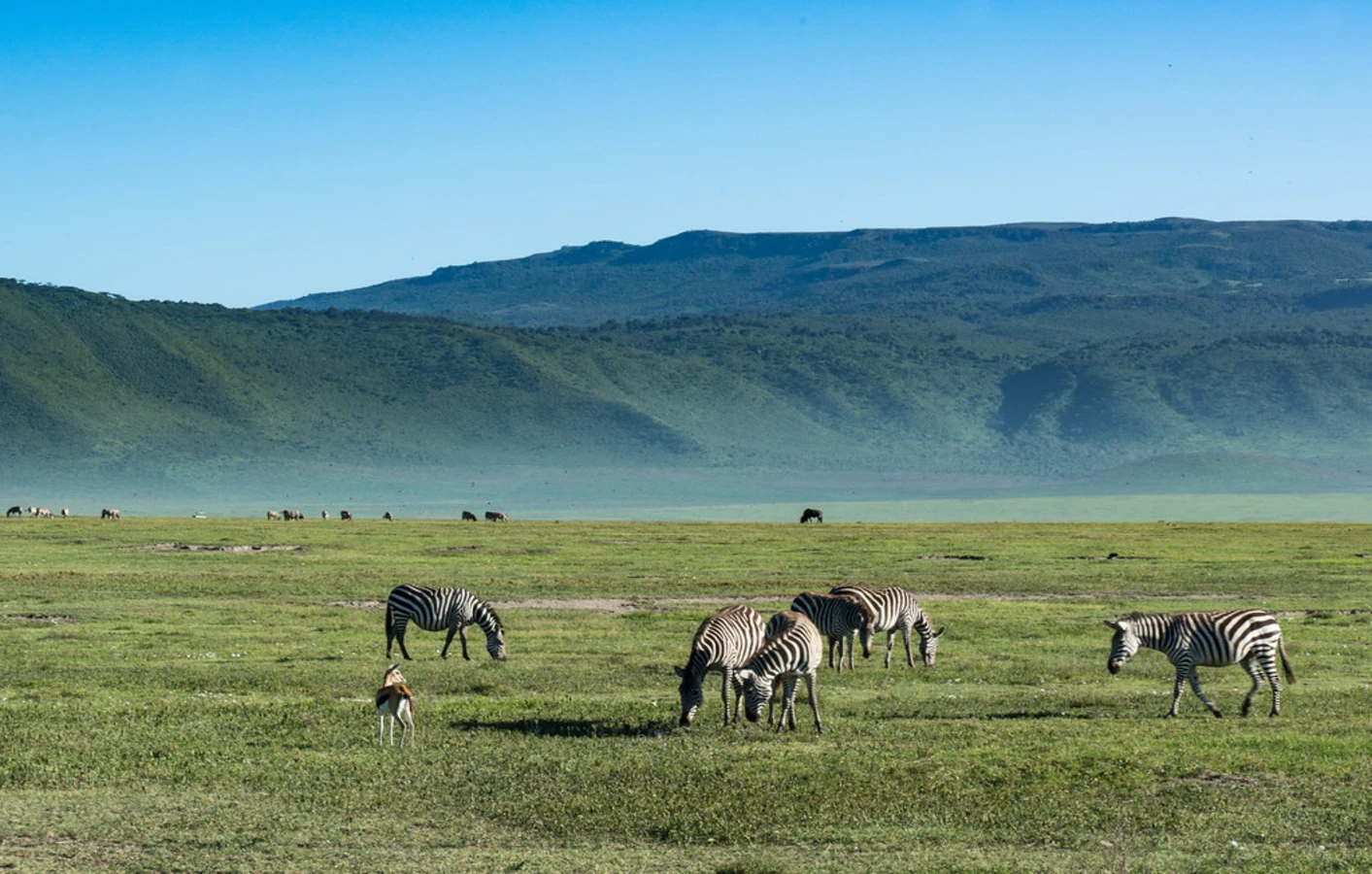 Aire de conservation du Ngorongoro, Tanzanie