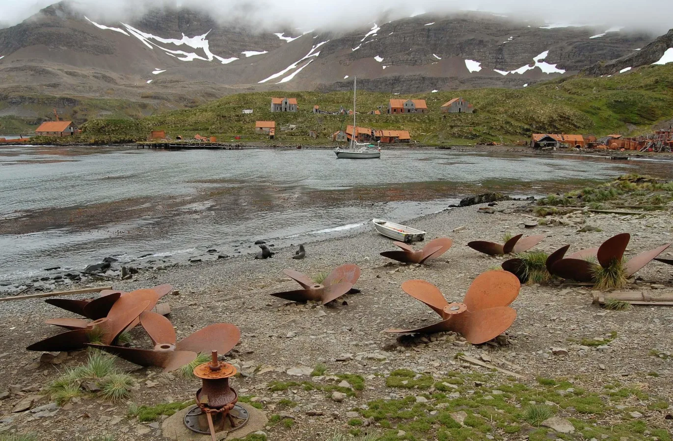 Prince Olav Harbor, Géorgie du Sud et Îles Sandwich du Sud