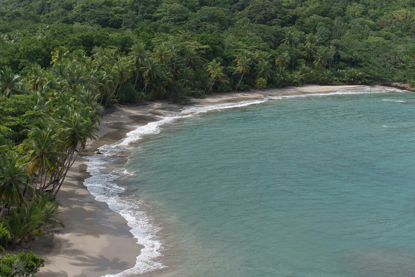 Plage de Batibou, Dominique