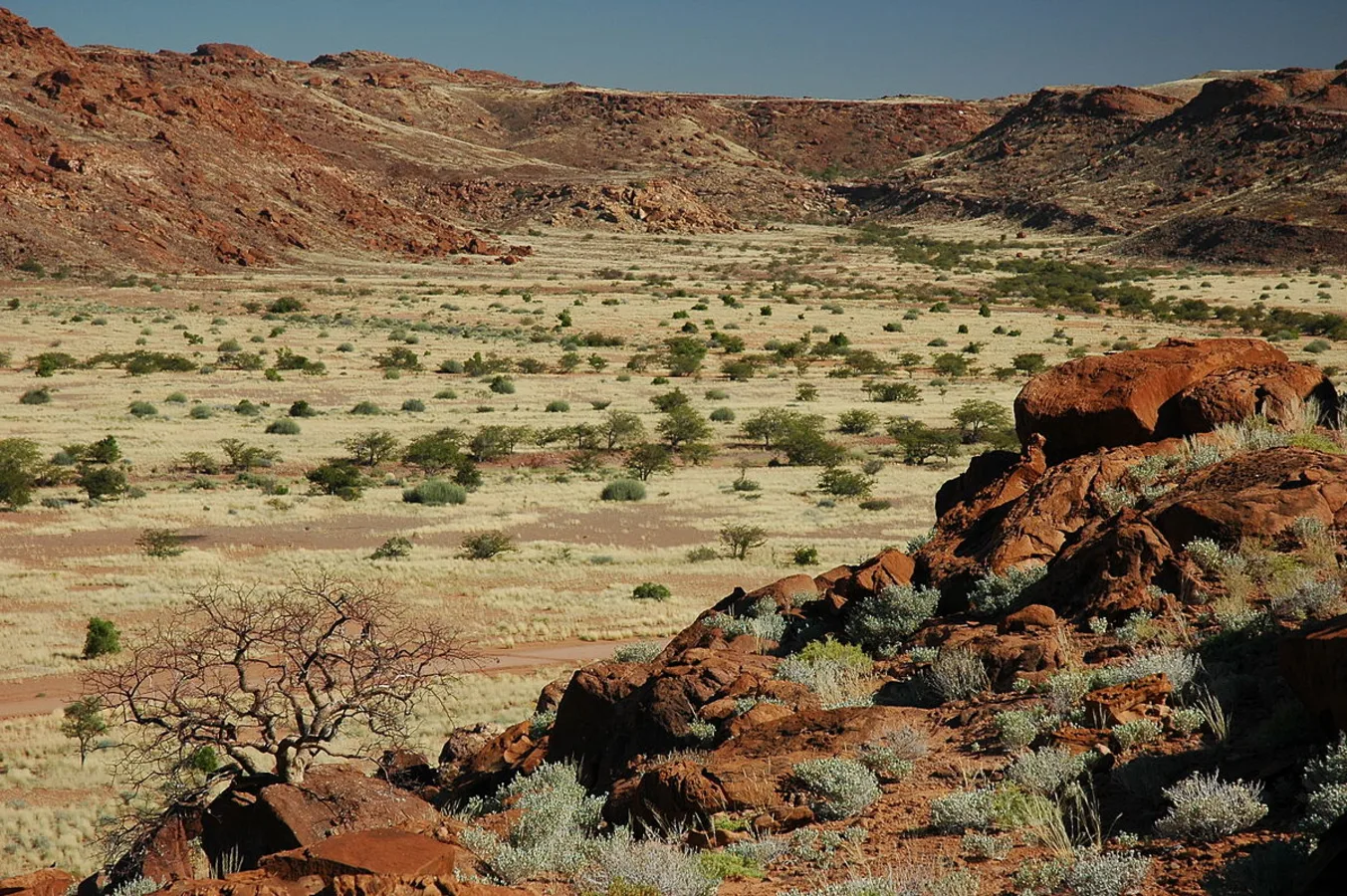 Twyfelfontein, Namibie