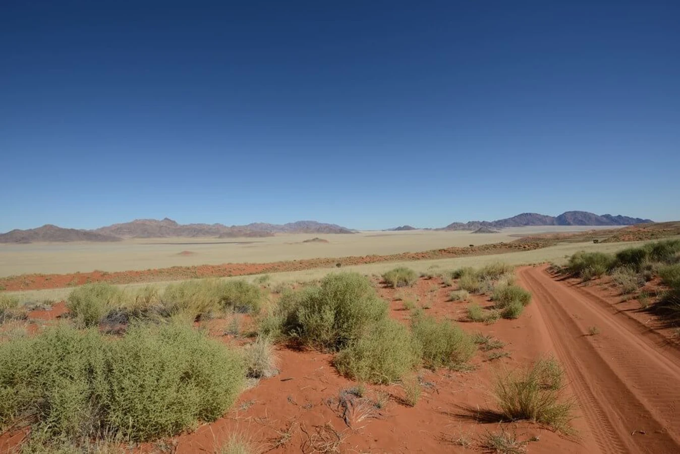 Réserve naturelle du NamibRand, Namibie