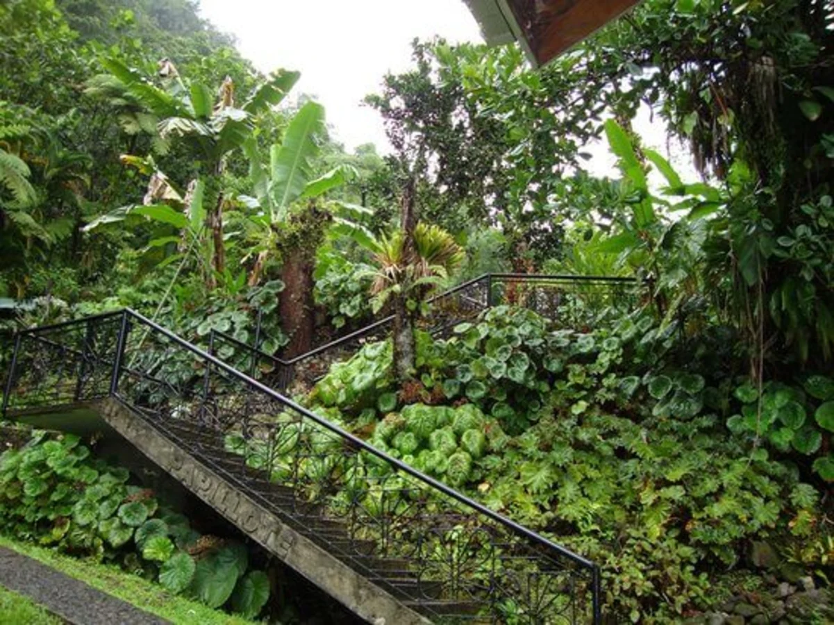 Papillote Tropical Gardens, Dominique
