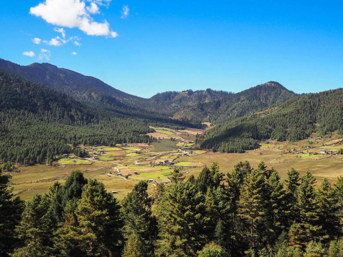 Vallée de Phobjikha, Bhoutan