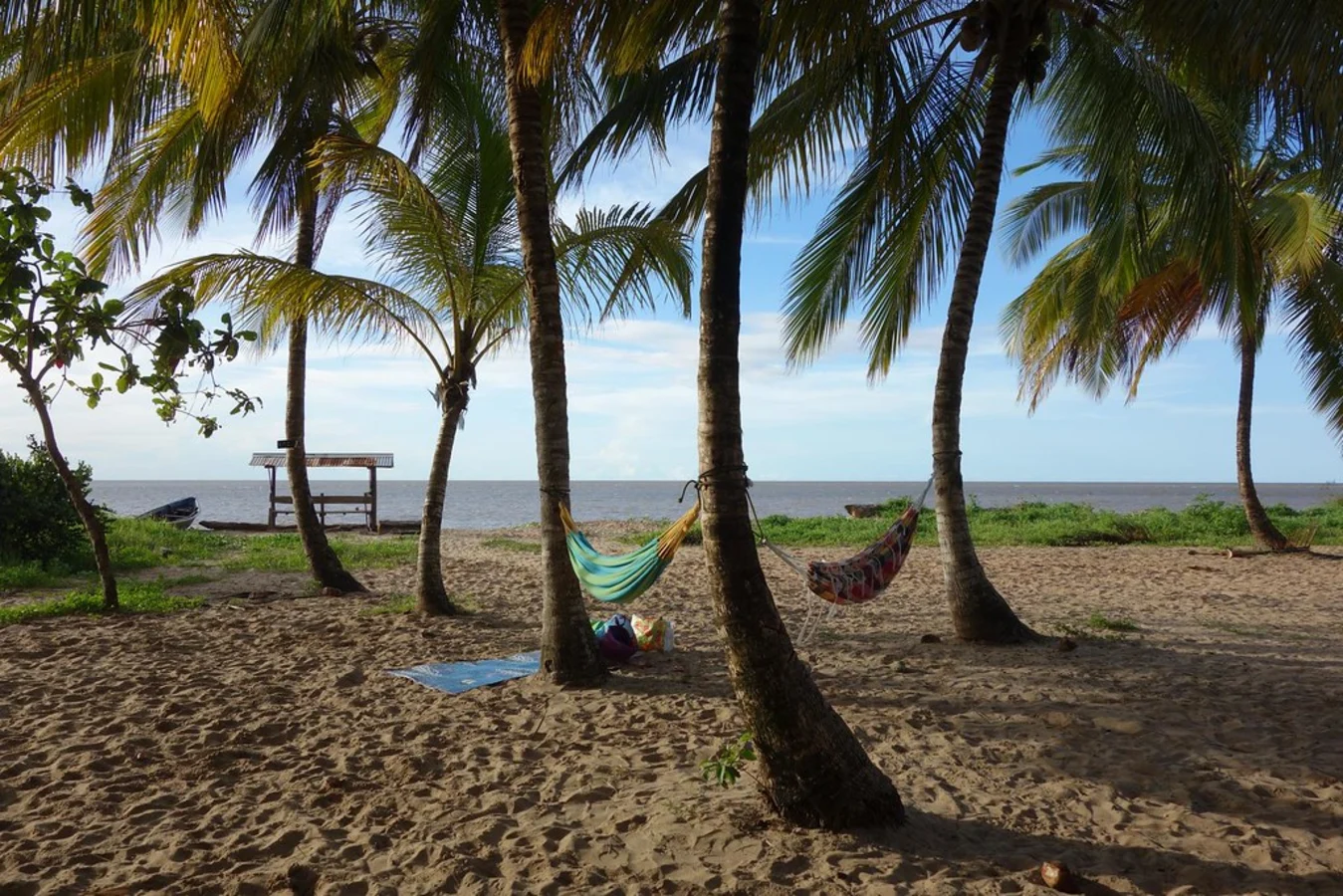 Plage des Hattes, Guyane française