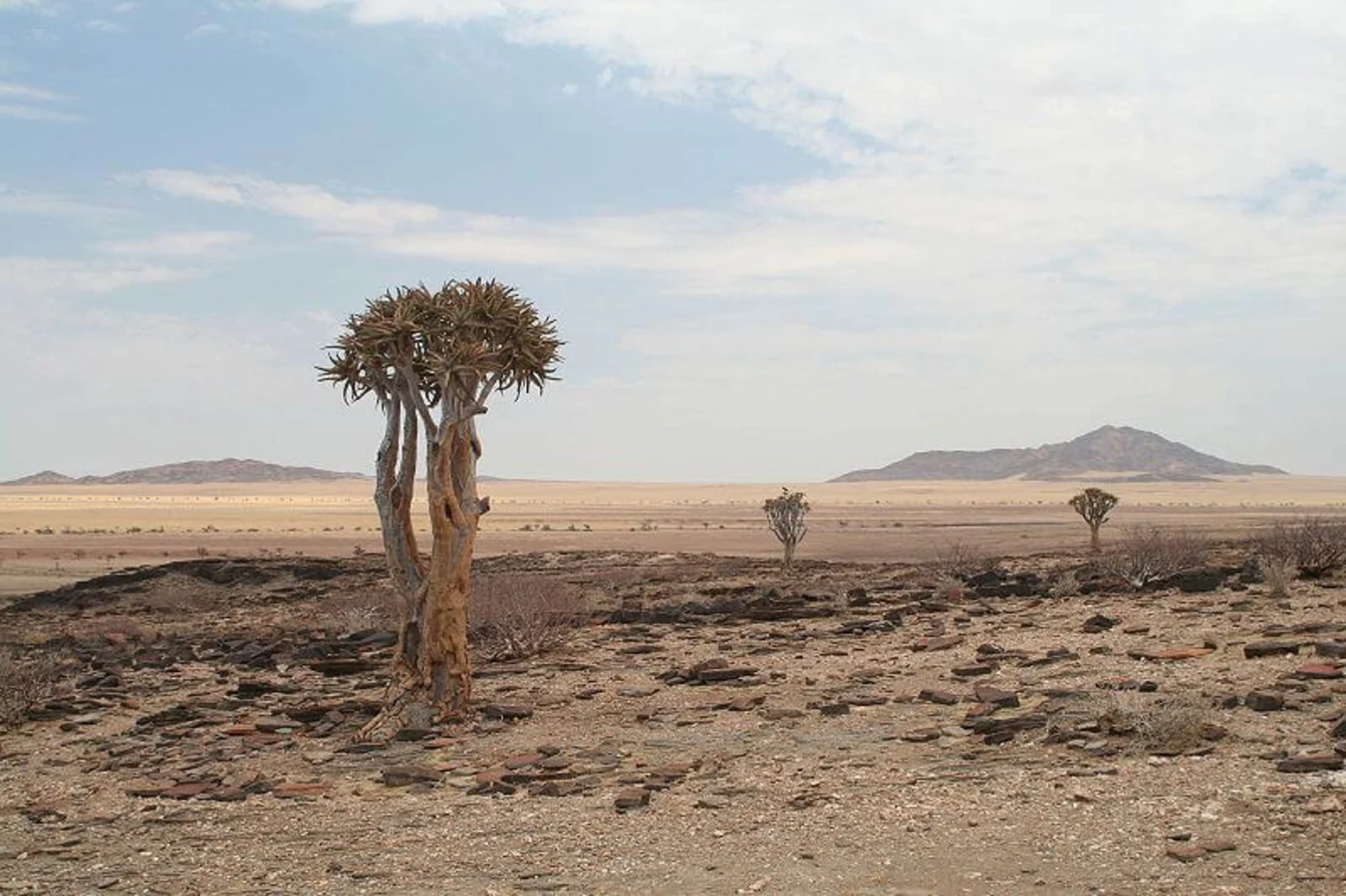 Côte des Squelettes, Namibie, Namibie