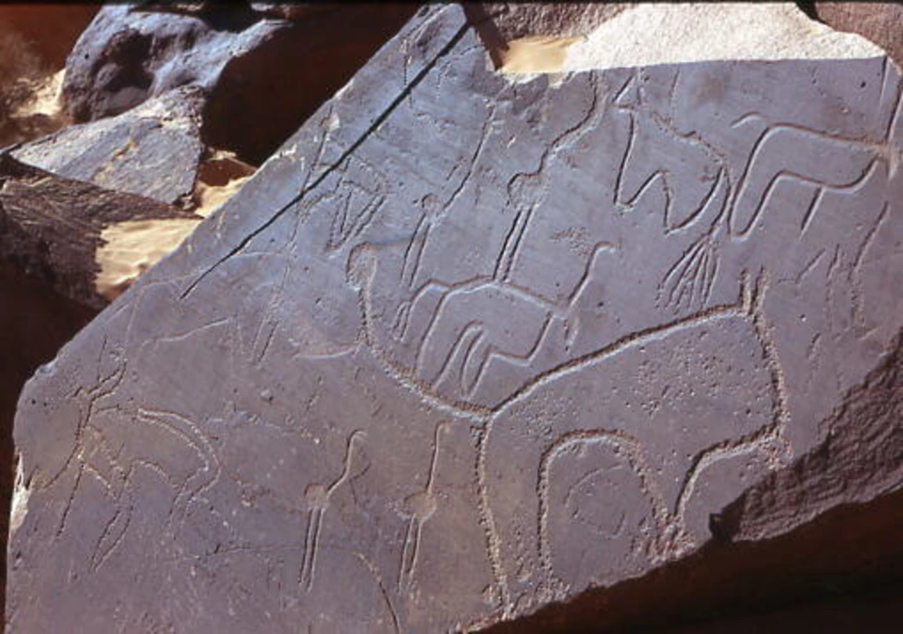 Gravures rupestres de la région de Taghit, Algérie