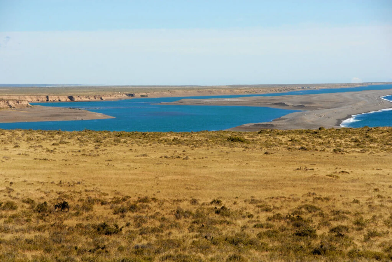 Péninsule Valdés, Argentine
