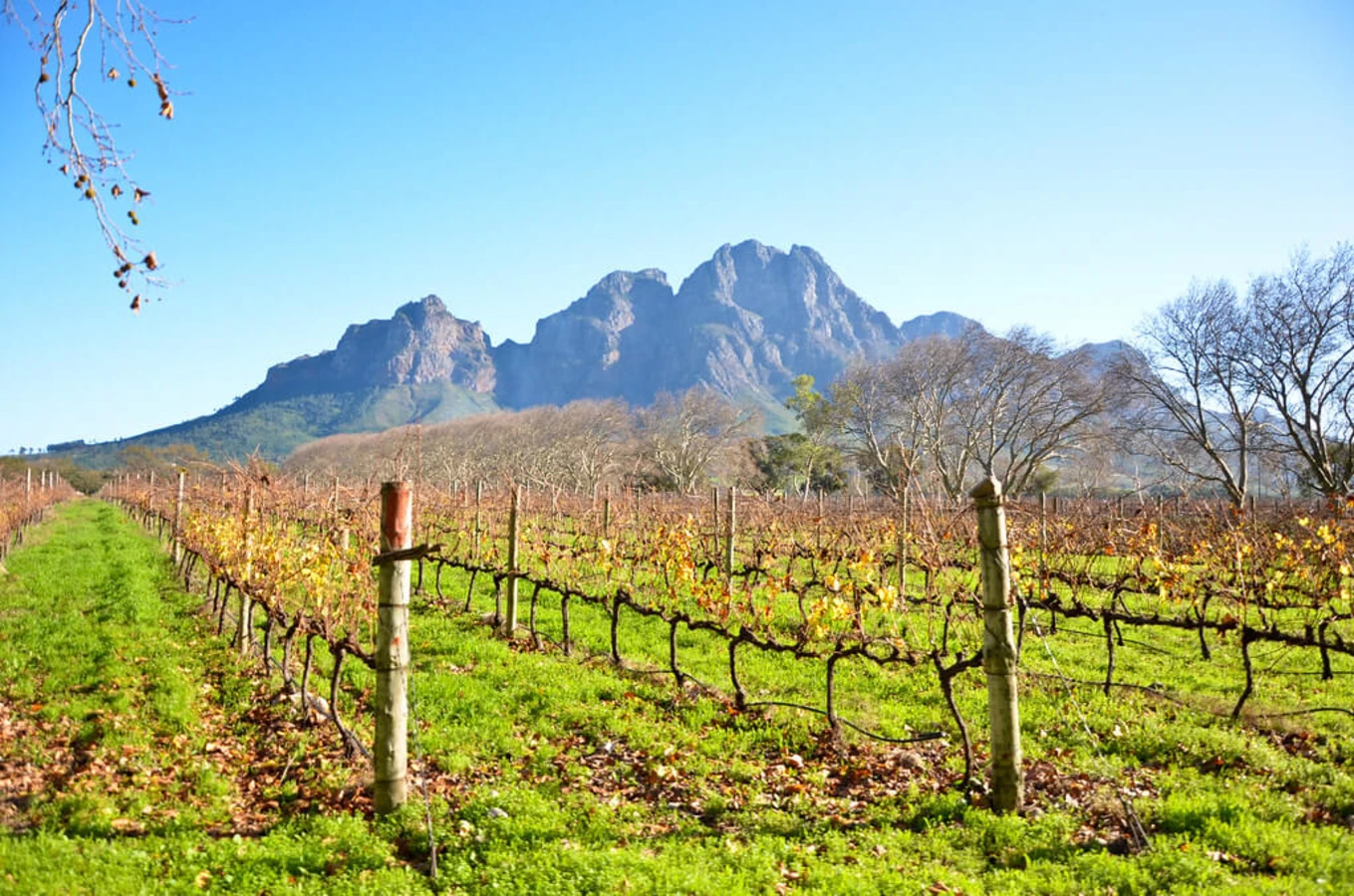 Stellenbosch, Afrique du Sud