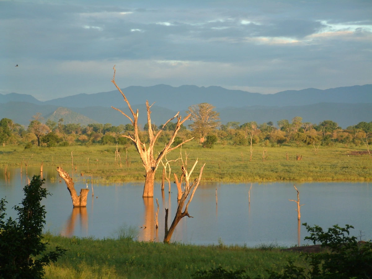 Parc national d'Udawalawe, Sri Lanka, Sri Lanka