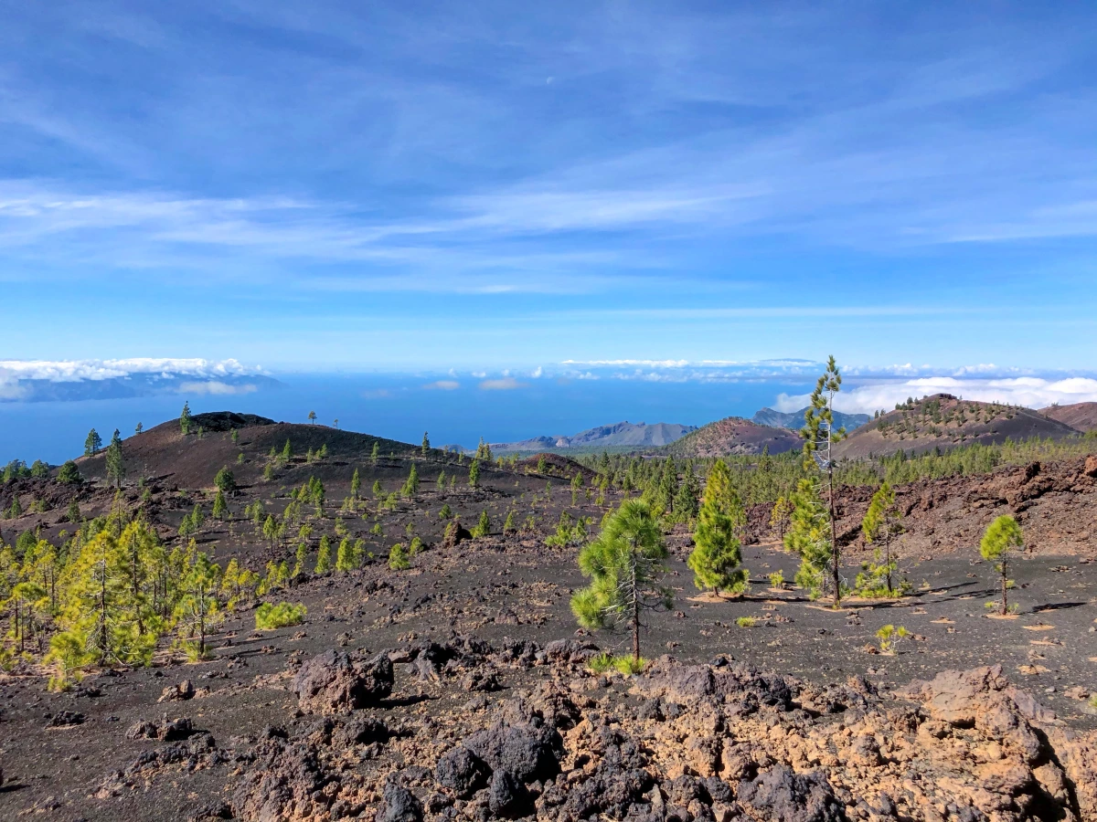 Samara (Tenerife), Espagne, Canaries