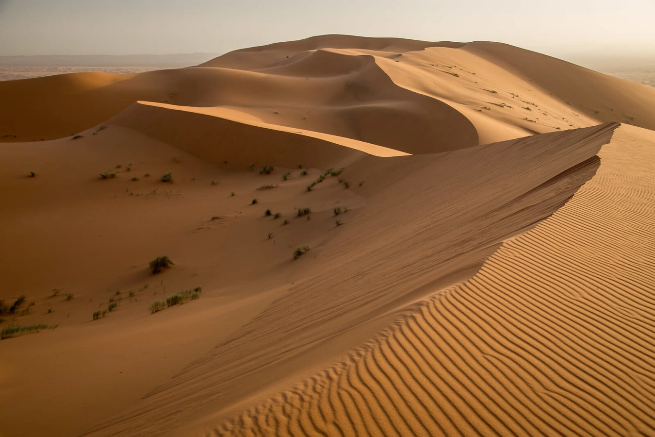 Dune de Tin Merzouga, Algérie