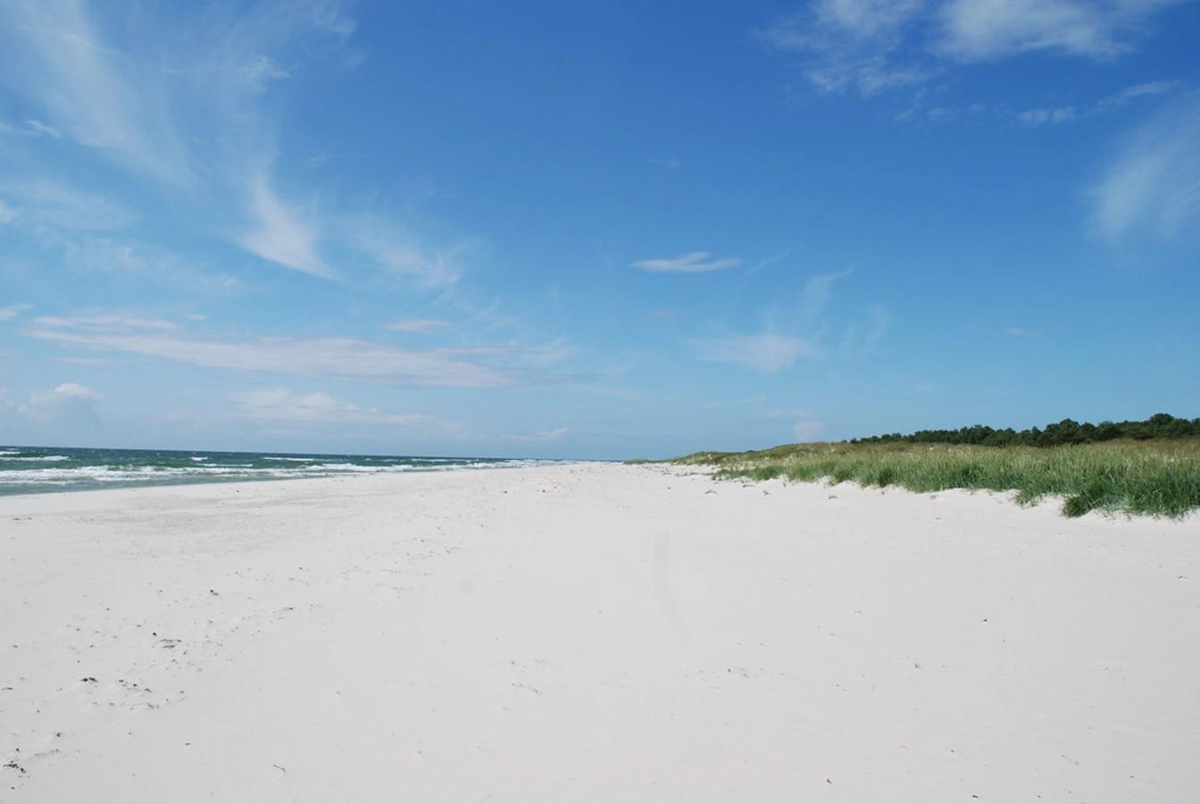 Sandhammaren, Suède