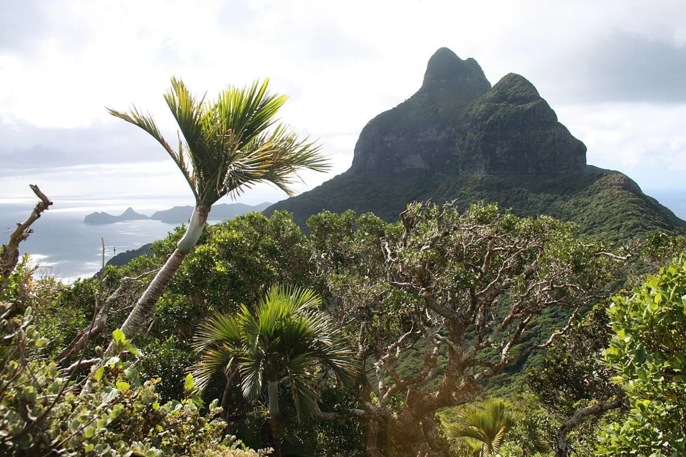 Mont Lidgbird, Australie