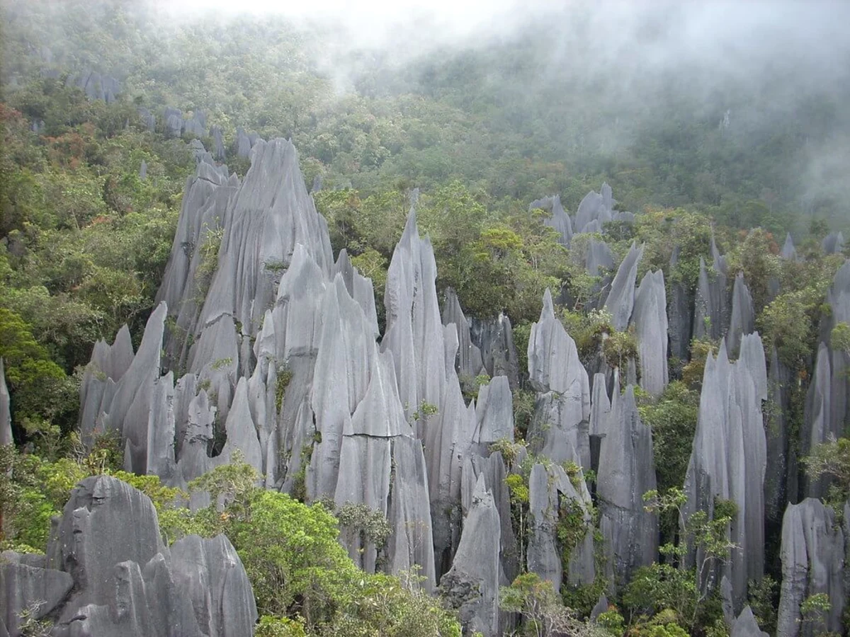 Gunung Api, Malaisie