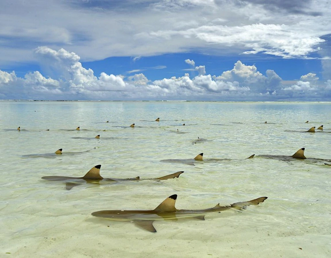 Aldabra, Seychelles