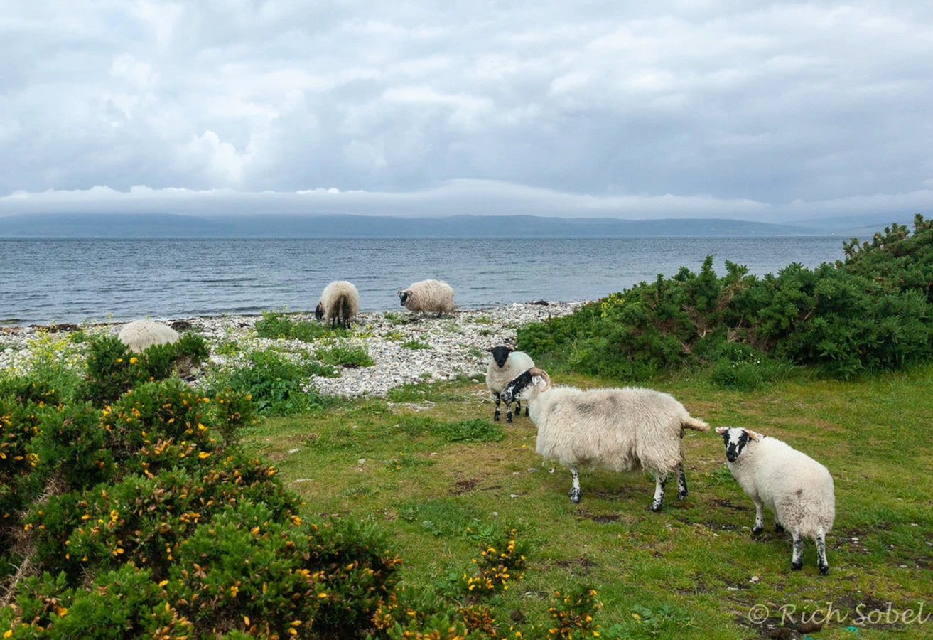 Arran Coastal Way, Écosse