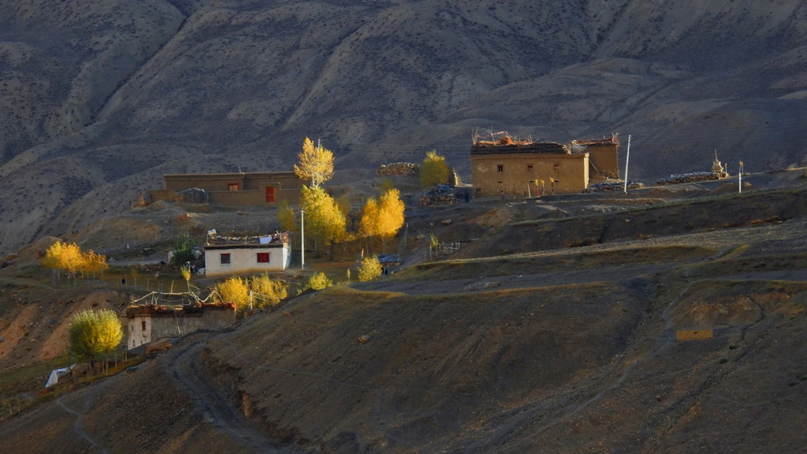 Lingshed , Inde