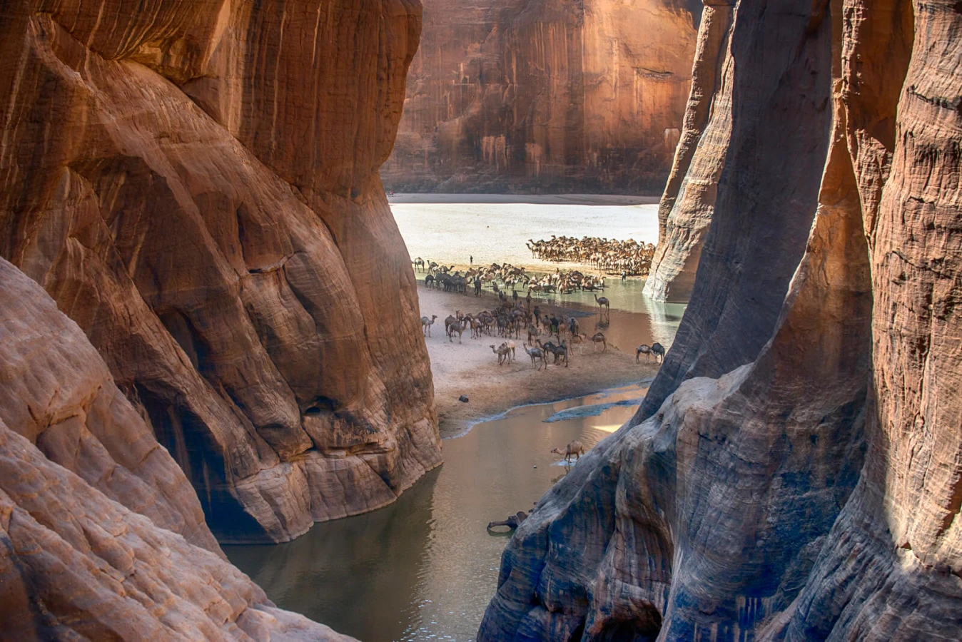 Guelta d'Archei, Tchad