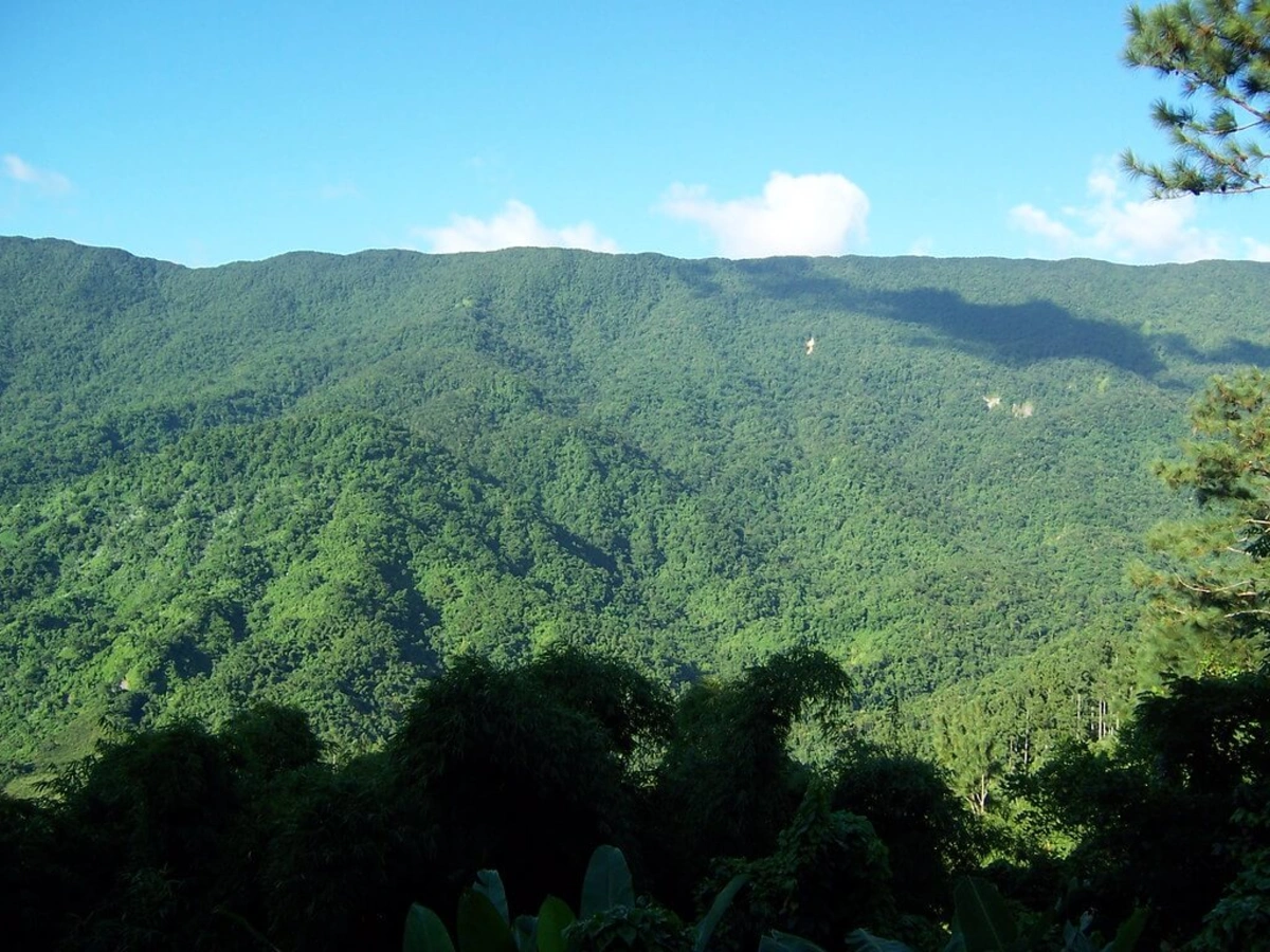 Monts John Crow, Jamaïque