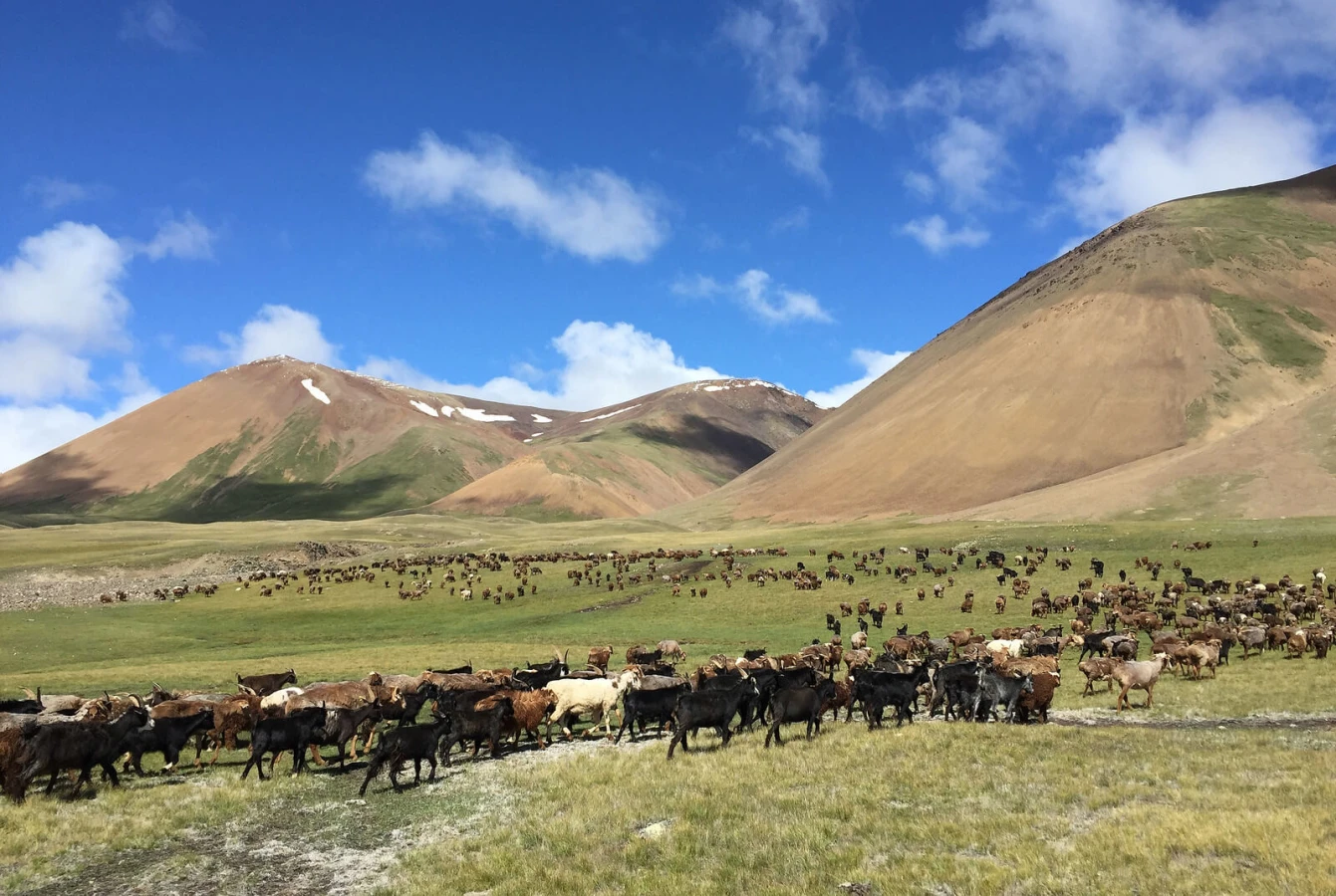Parc national de l'Altai Tavan Bogd, Mongolie