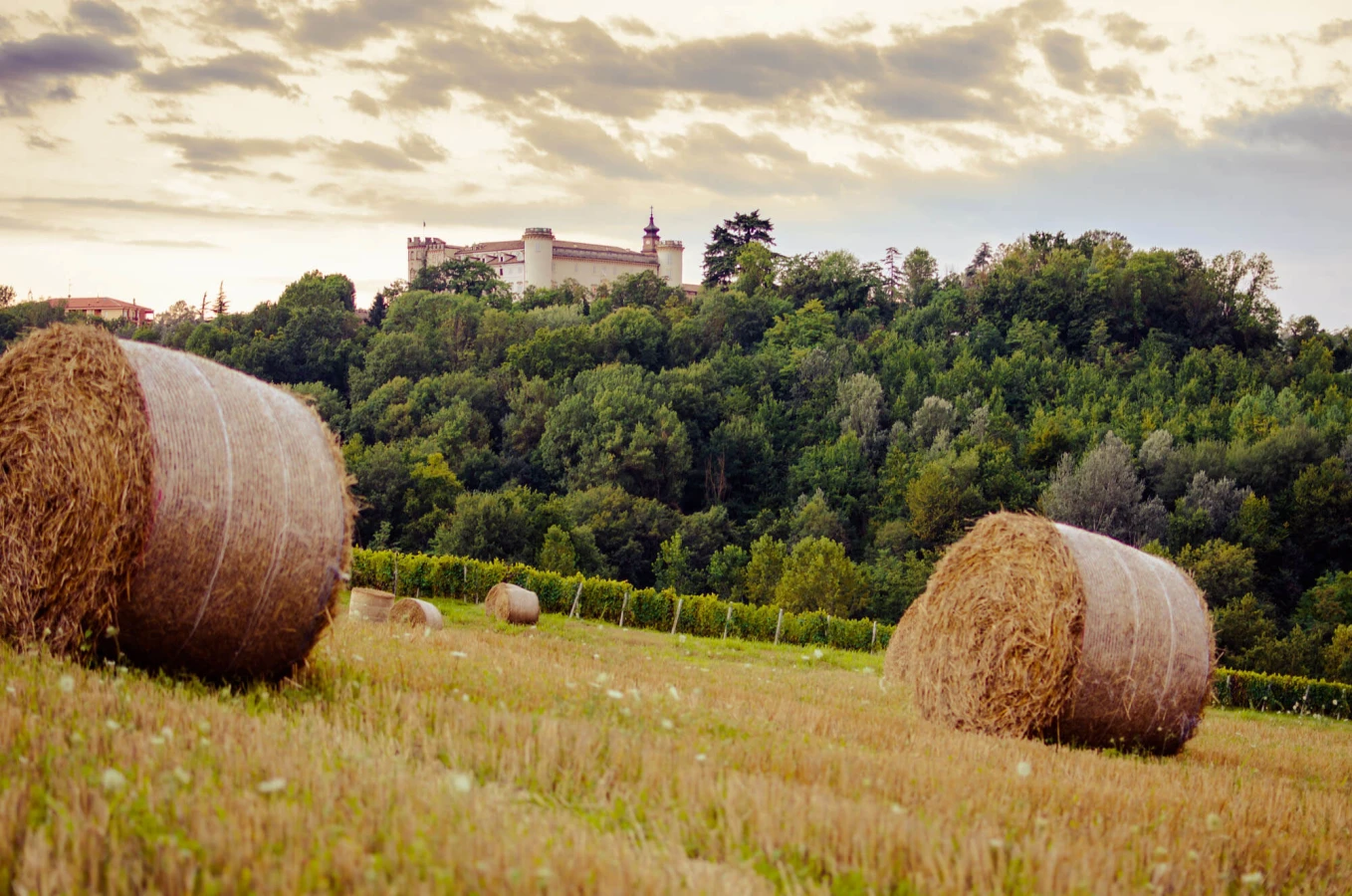 Costigliole d'Asti, Italie