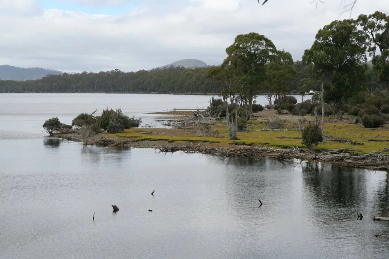 Lac Saint Clair, Australie, Tasmanie