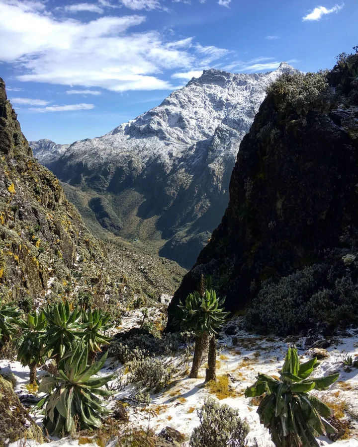 Scott Eliot Pass, Ouganda