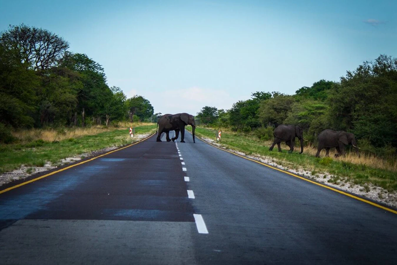 Parc national de Bwabwata, Namibie