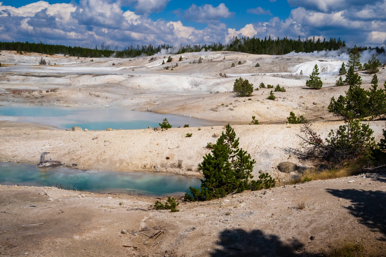 Norris Geyser Basin, États-Unis
