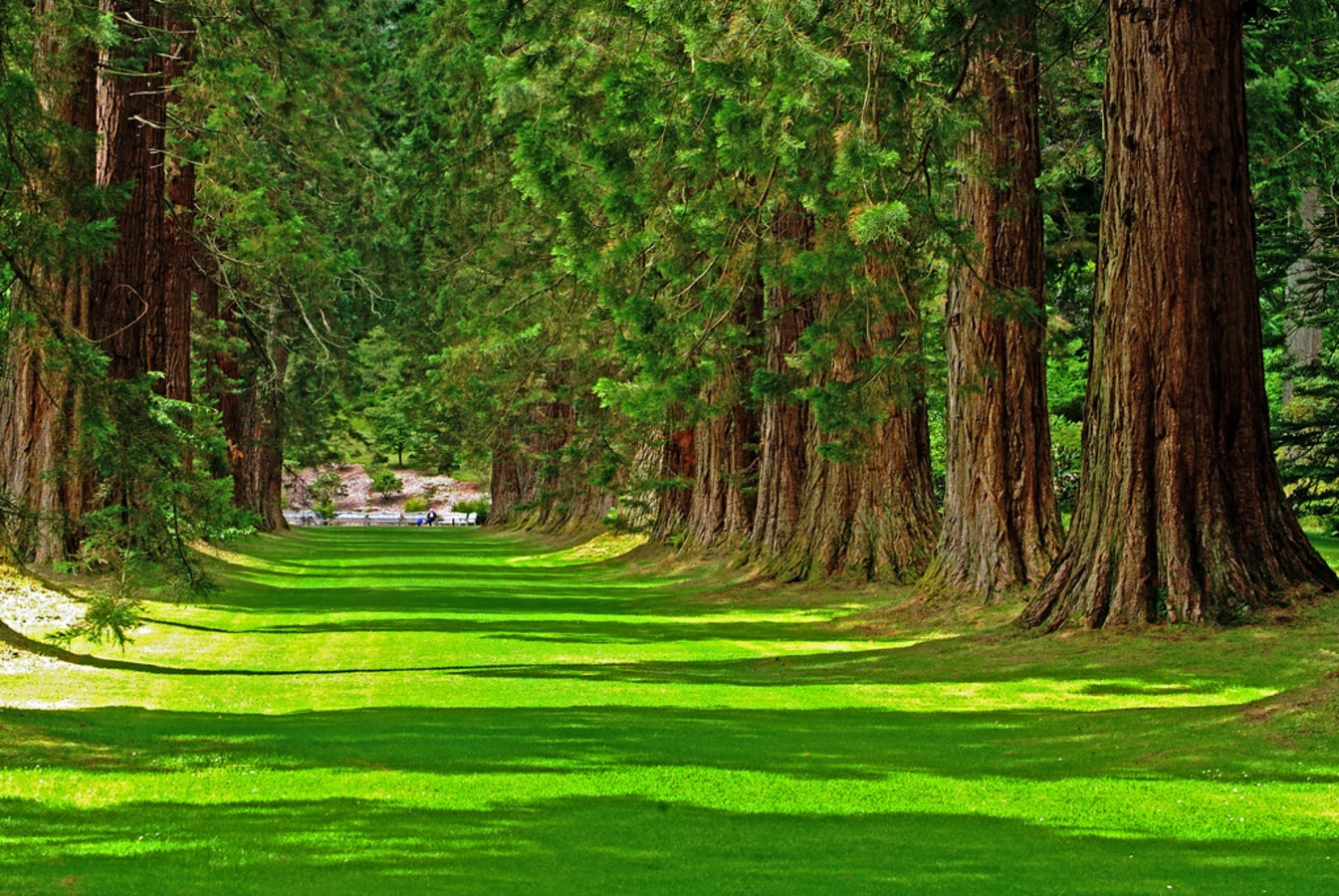 Benmore Botanic Garden, Écosse