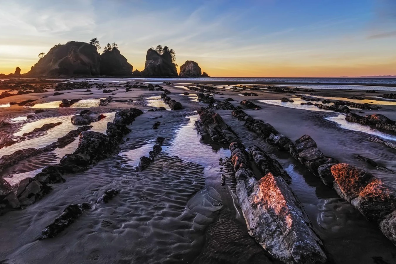 Shi-Shi Beach, États-Unis