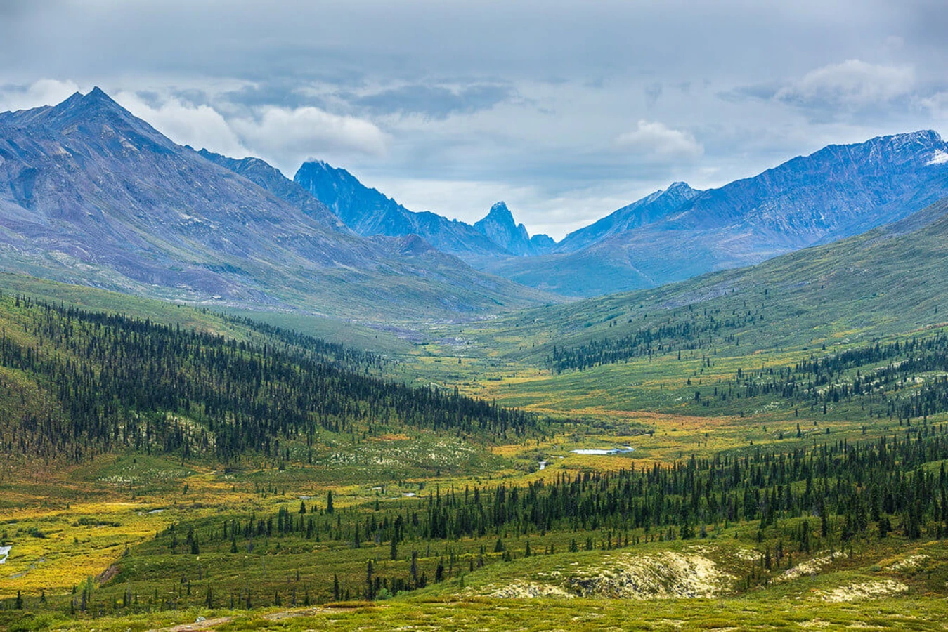 Parc territorial Tombstone, Canada