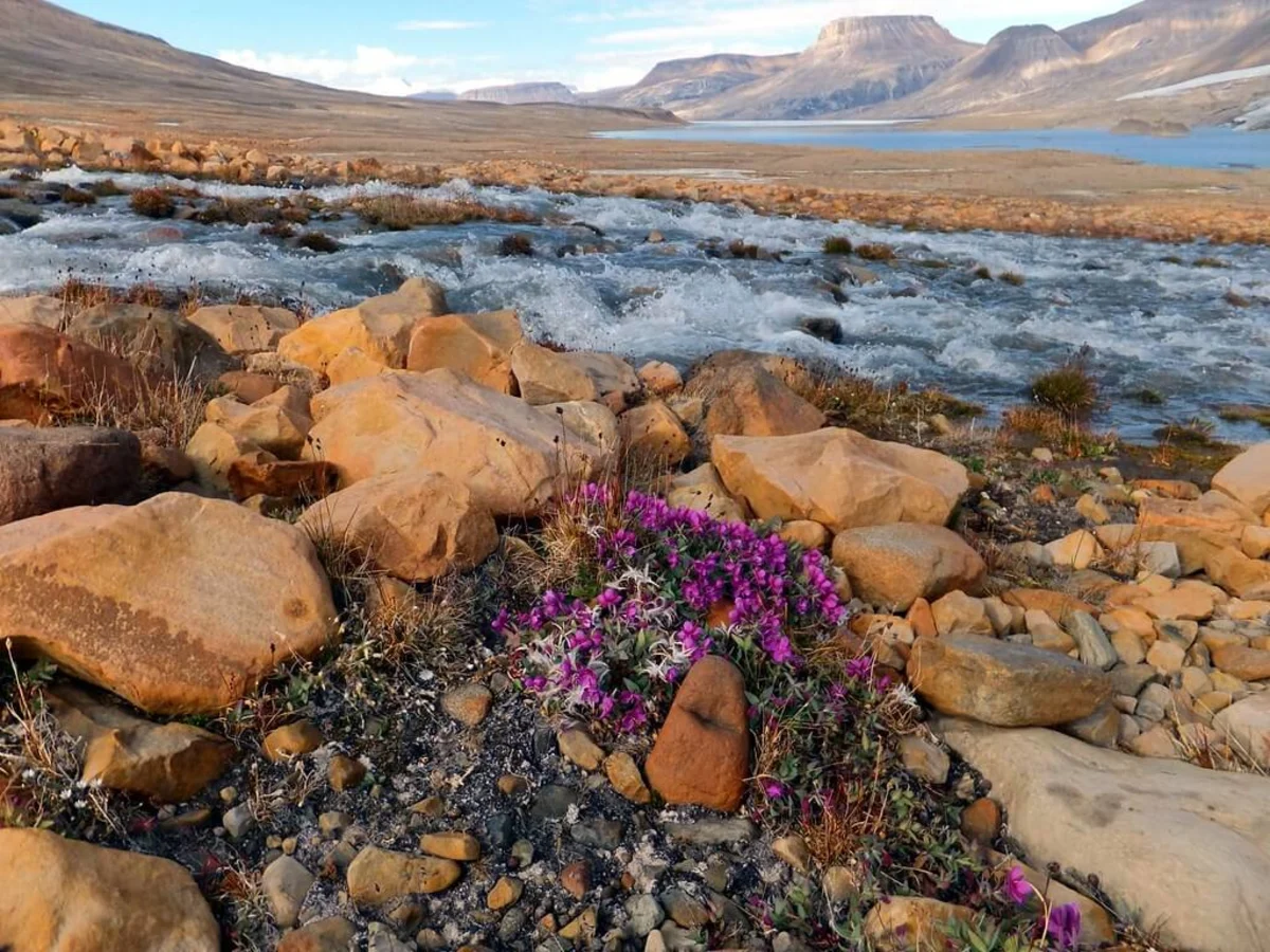 Parc national Quttinirpaaq, Canada