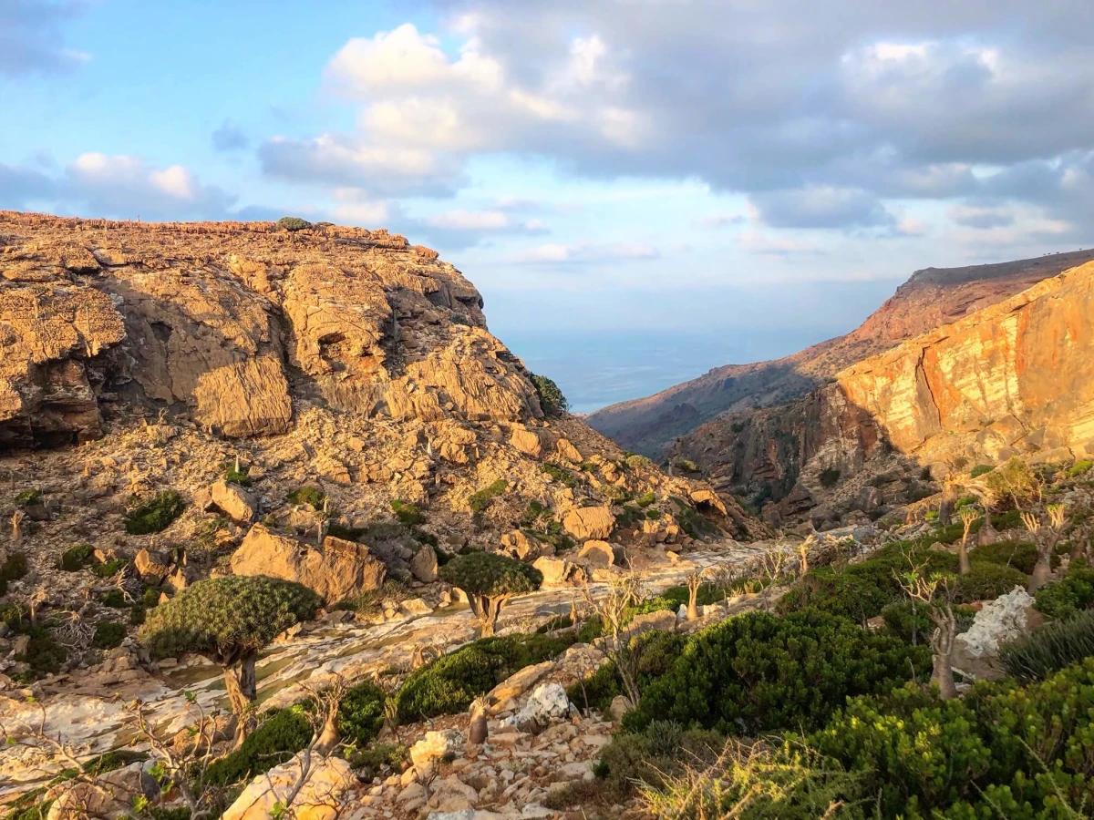Zone protégée d'Homhil, Yémen, Socotra