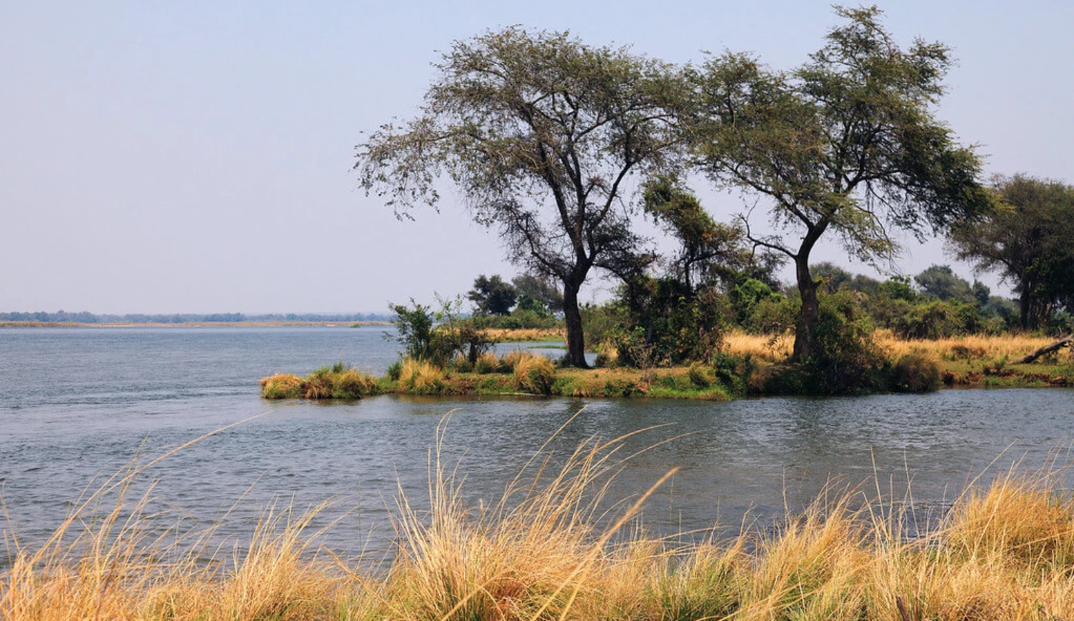 Parc national de Lower Zambezi, Zambie
